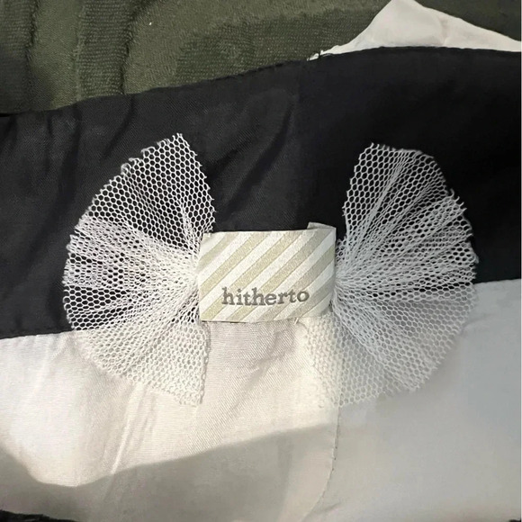 BHLDN Anthro Dress Hitherto Floating Flock Bird Silk Organza Velvet dress - Picture 10 of 11